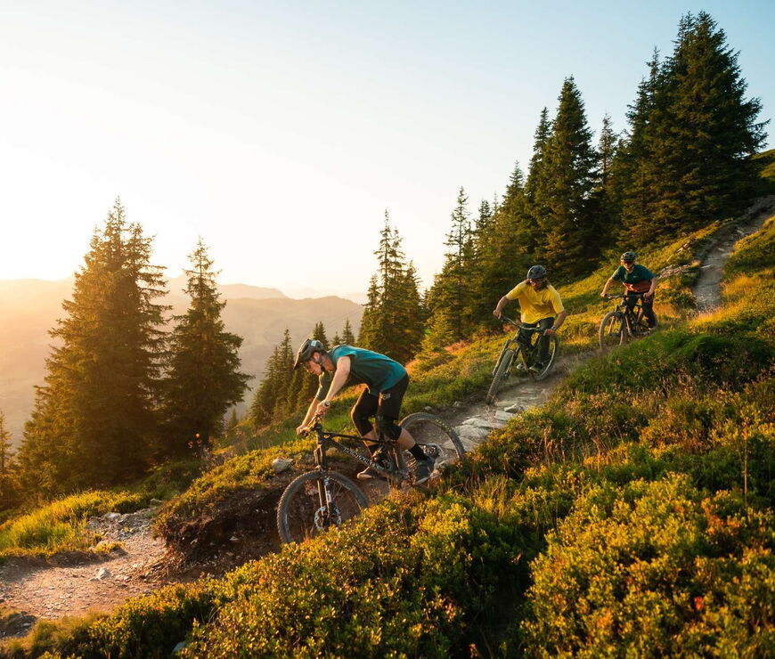 Avenida Mountain Lodges Saalbach Radfahren Avenida Mountain Lodges Saalbach Radfahren