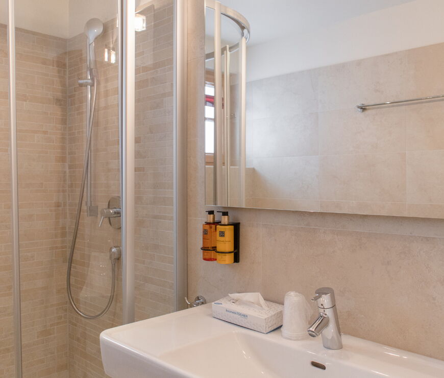 Alpin Rentals SUR GmbH | PC Panorama Chalet 10