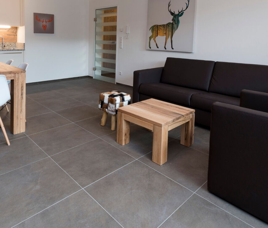 Alpin Rentals SUR GmbH | SGS 1 Schlafzimmer Apartment 8