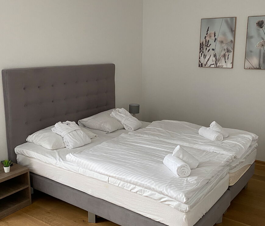 Alpin Rentals SUR | 3 Bedroom Deluxe Apartment BV4.1