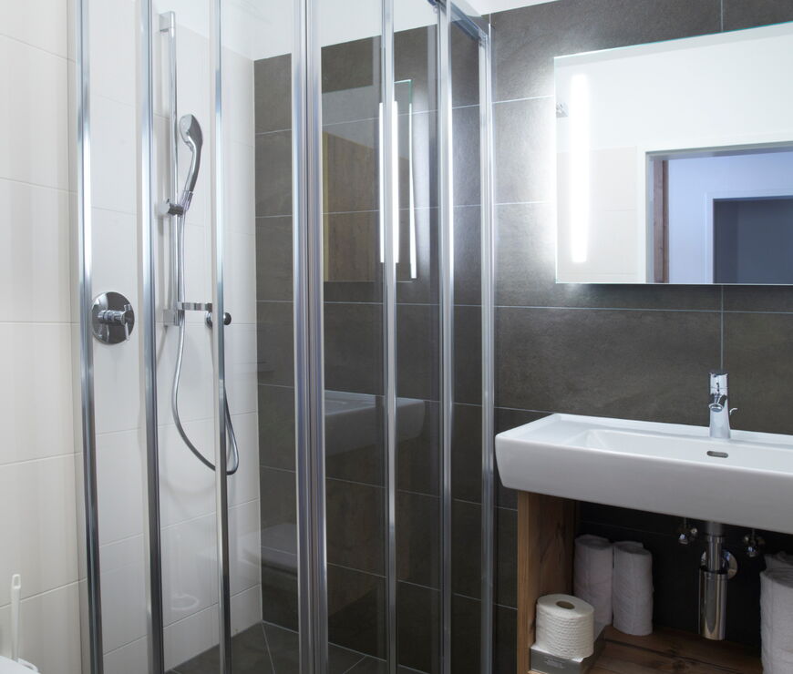 Alpin Rentals SUR GmbH | SGS 2 Schlafzimmer Combi Apartment 3+4