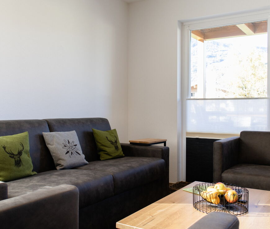 Alpin Rentals SUR GmbH | ST 3 Bedroom Deluxe Apartment 5